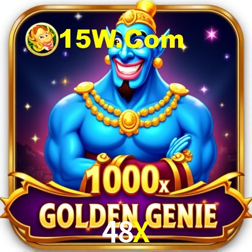 Interface Premium 48X